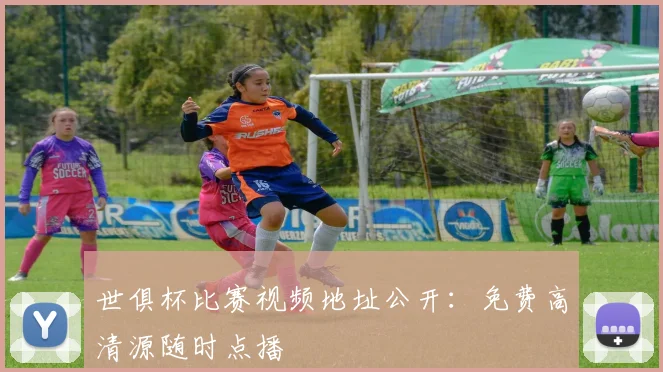 世俱杯比赛视频地址公开：免费高清源随时点播