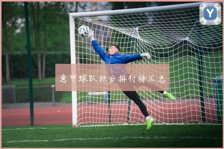 意甲球队积分排行榜汇总