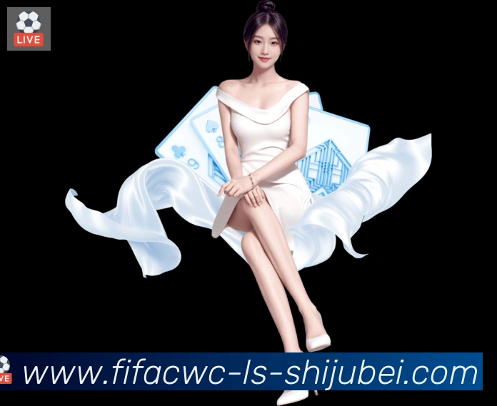 未来规划